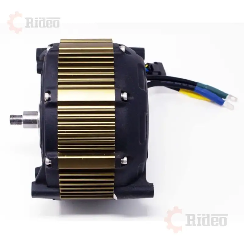 Surron OEM Motor